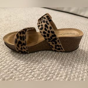 Chocolate Blue wedge Heel - leopard print